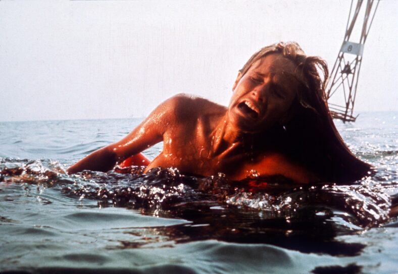 Jaws