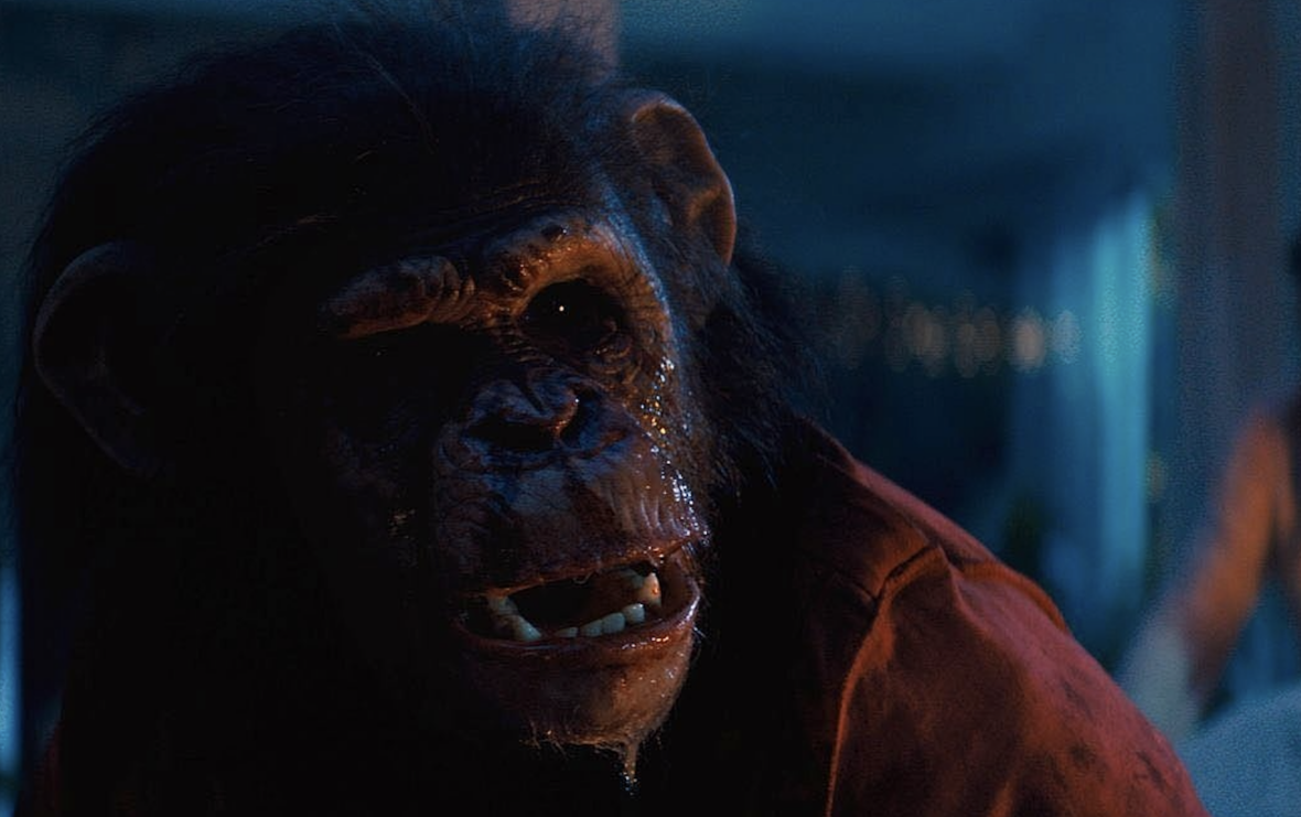 ‘Primate’ to Stream on Prime Video Beginning July 31