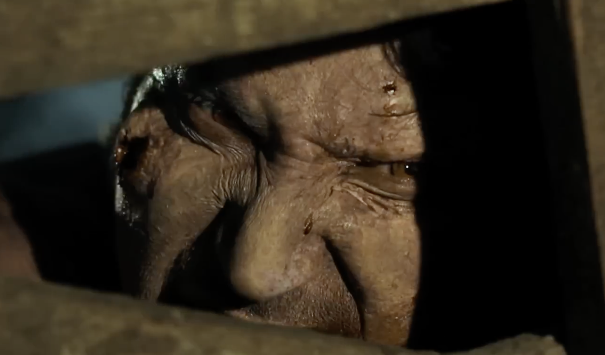 Trailer: DJ Qualls Battles a Zombie Nightmare in ‘Turning Point’